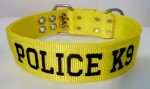 2" K9 FLAT Collar with Embroidery